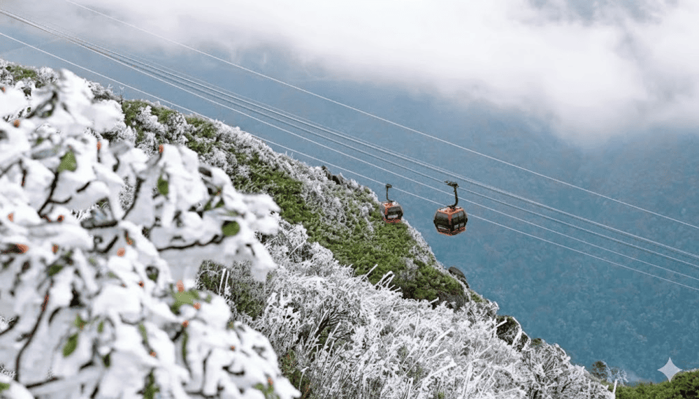 The coldest months (December to January) are ideal for catching the snowfall
